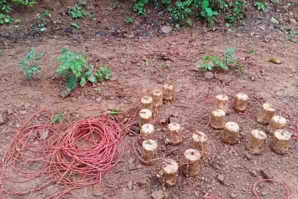 18 powerful IED bombs found again in Chaibasa