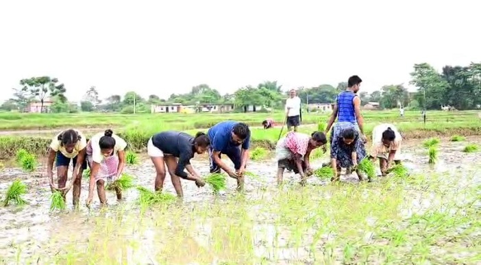 bandhu-tirkey-dhan-ropni-jharkhand-farmer-role-2025