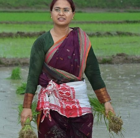 jharkhand/agriculture-minister-shilpi-neha-tirkey-paddy-planting-chanho-ranchi