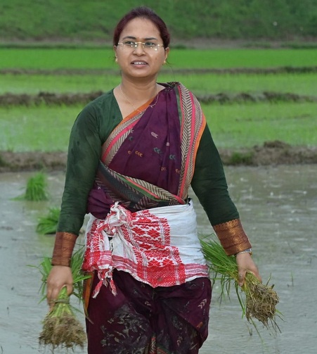 jharkhand/agriculture-minister-shilpi-neha-tirkey-paddy-planting-chanho-ranchi