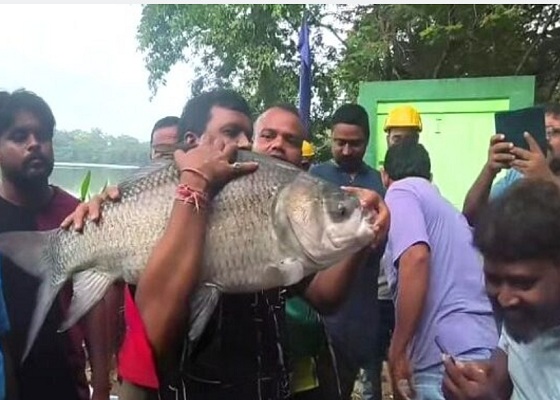 jrd-tata-angling-competition-jubilee-park-atul-rai-wins